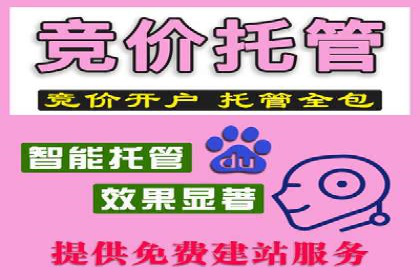 sem托管服务案例：如何实现广告投放效果最大化